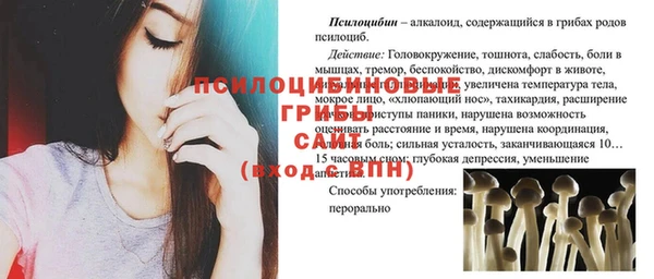 эйфоретик Алексеевка