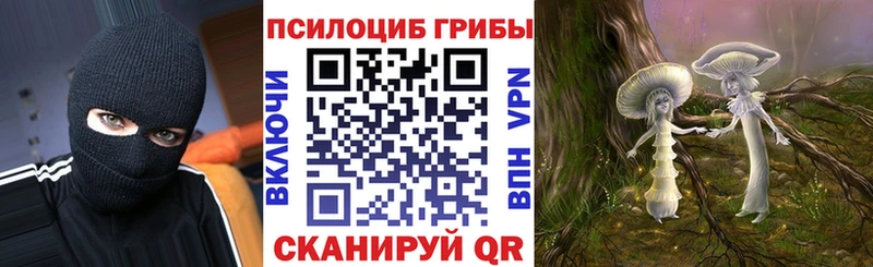 Галлюциногенные грибы Cubensis  Починок 
